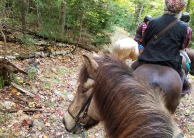 Trail Rides | Vermont Icelandic Horse Farm & Vacation Rental in Waitsfield