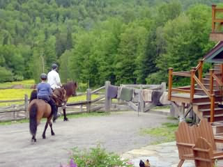 Riding a Horse | Vermont Icelandic Horse Farm & Lodging in Waitsfield