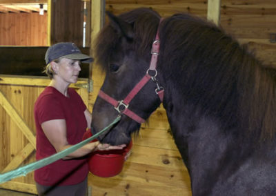Black Horse and Woman | Vermont Icelandic Horse Farm & Lodging in Waitsfield