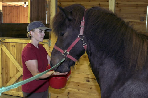 Certified Dealer for Two Outfitters | Vermont Icelandic Horse Farm & Lodging in Waitsfield
