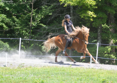Youth Program | Vermont Icelandic Horse Farm & Lodging in Waitsfield