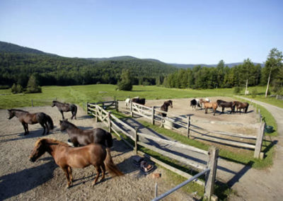 Horse Farm | Vermont Horse Farm & Vacation Rental in Fayston, Vermont