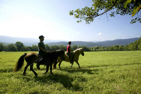 Trail Rides | Vermont Icelandic Horse Farm & Vacation Rental in Waitsfield