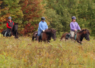 Trail Ride | Vermont Horse Farm & Vacation Rental in Fayston, Vermont