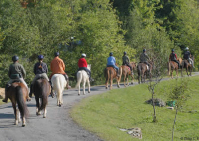 Trail Rides | Vermont Horse Farm & Vacation Rental in Fayston, Vermont