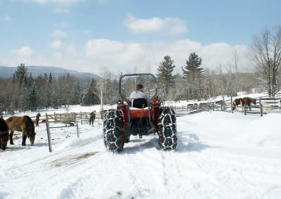 Winter Horse Farm | Vermont Horse Farm & Vacation Rental in Fayston, Vermont